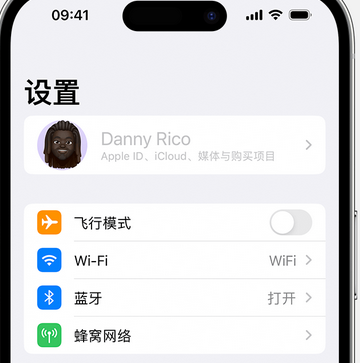 巴东appleID维修服务iPhone设置中Apple ID显示为灰色无法使用 