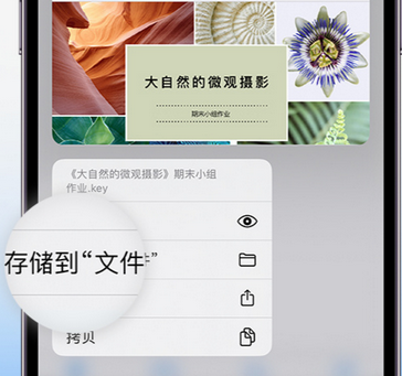 巴东apple维修中心分享iPhone文件应用中存储和找到下载文件