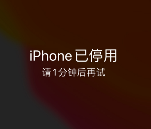 巴东苹果手机维修分享:iPhone 显示“不可用”或“已停用”怎么办？还能保留数据吗？ 