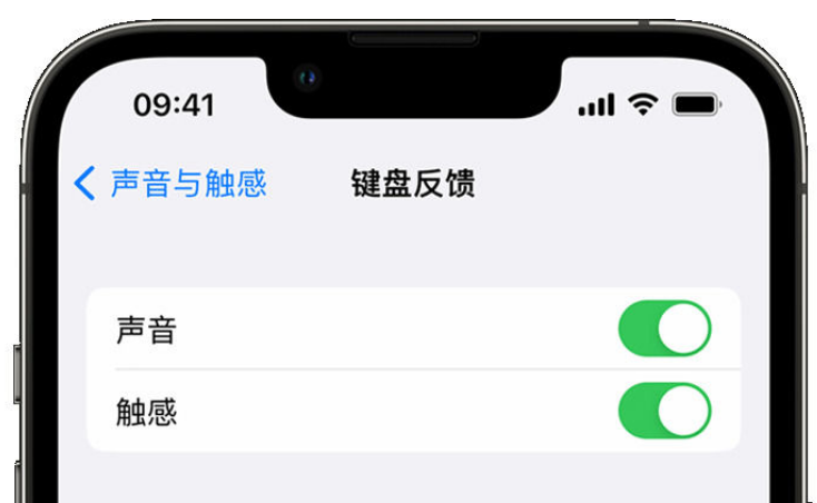 巴东苹果手机维修分享iPhone 14触感键盘使用方法 