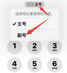 巴东苹果14维修店分享iPhone 14 Pro Max使用副卡打电话的方法 