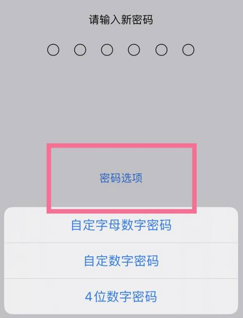 巴东苹果14维修分享iPhone 14plus设置密码的方法 