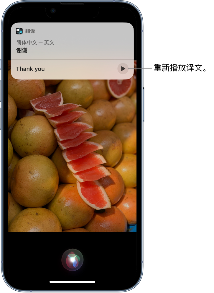 巴东苹果14维修分享 iPhone 14 机型中使用 Siri：了解 Siri 能帮你做什么 