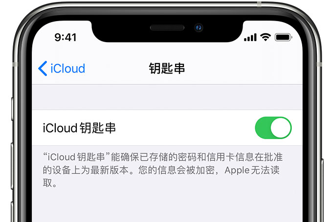 巴东苹果手机维修分享在 iPhone 上开启 iCloud 钥匙串之后会储存哪些信息 