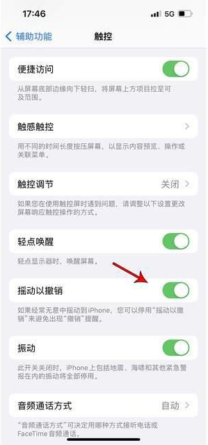 巴东苹果手机维修分享iPhone手机如何设置摇一摇删除文字 